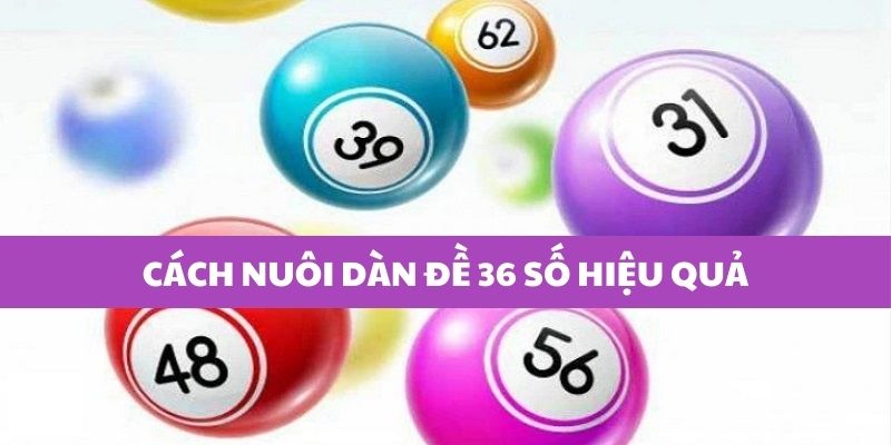 Kinh nghiệm thắng lớn từ dàn đề 36 số