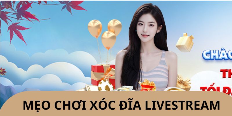 Xóc đĩa livestream cuốn hút nhờ có đa dạng cửa cược