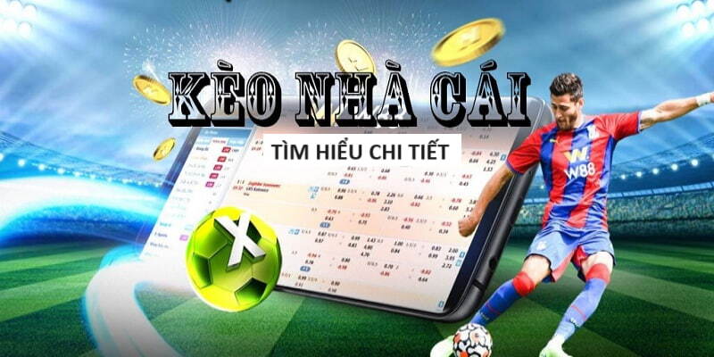 Mẹo cá cược thể thao là soi kèo nhà cái ngay từ sớm